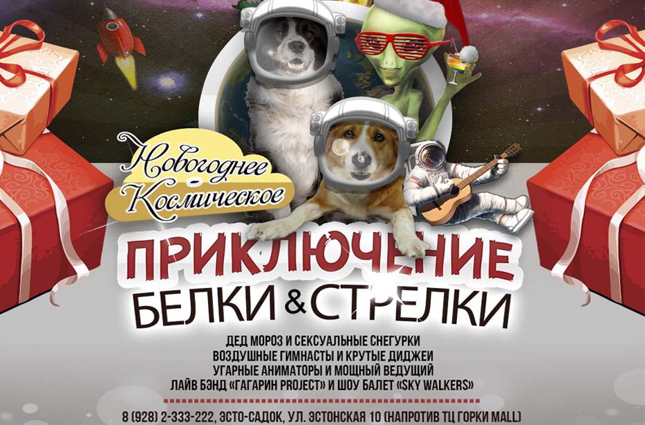 Новогоднее Космическое Приключение Новогоднее Космическое Приключение